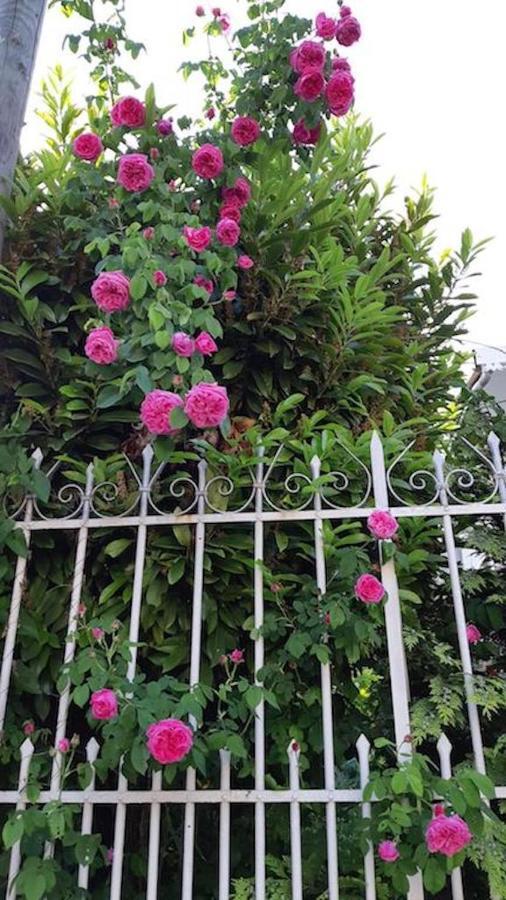 Doux Cocon De 50 M2 Paris-le Raincy Apartment *